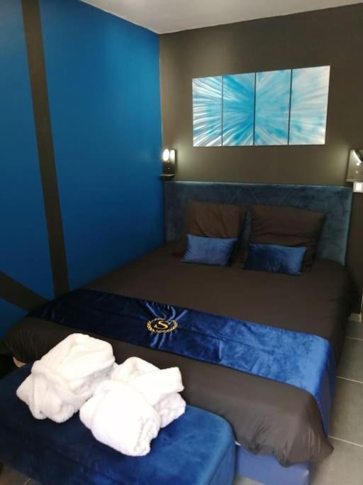 Appartement Avec Sauna Et Balneo Privatifs -troyes Centre Troyes